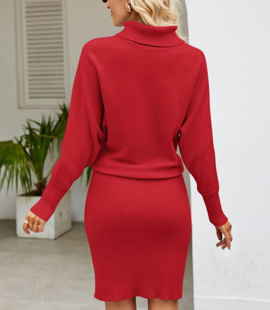 WW | Cozy turtleneck knit dress for winter warmth