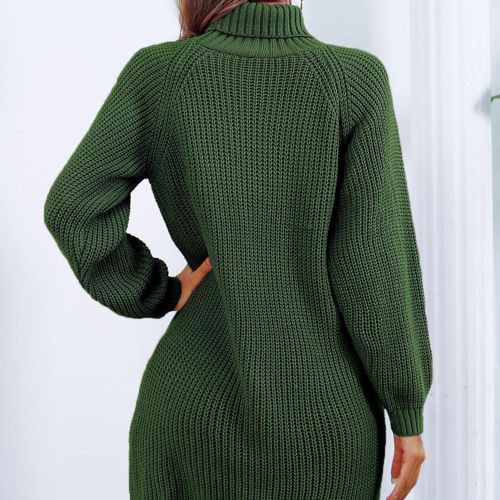 WW | Long-sleeved turtleneck knit dress with buttons